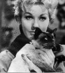 Kim Novak and Pyewacket (a cat she would later own) from Bell, Book and Candle